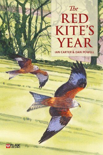 The Red Kite's Year