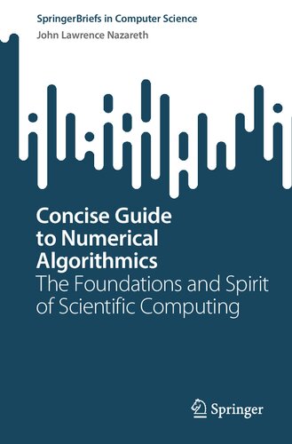 Concise Guide to Numerical Algorithmics. The Foundations and Spirit of Scientific Computing