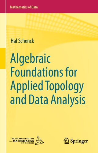 Algebraic Foundations for Applied Topology and Data Analysis