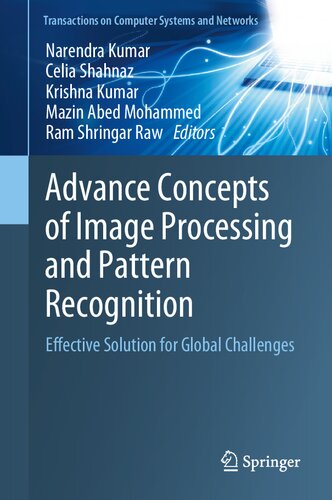 Advance Concepts of Image Processing and Pattern Recognition. Effective Solution for Global Challenges