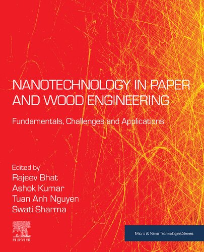 Nanotechnology in Paper and Wood Engineering: Fundamentals, Challenges and Applications