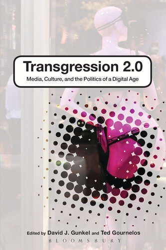 Transgression 2.0: Media, Culture, and the Politics of a Digital Age