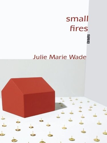 Small Fires: Essays