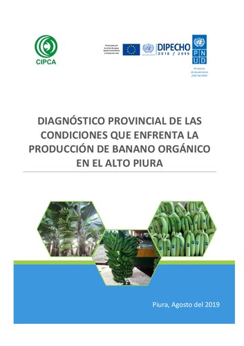 Diagnóstico provincial de las condiciones que enfrenta la produccion de banano orgánico en el Alto Piura (Morropón, Piura)