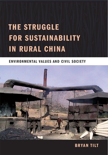 The Struggle for Sustainability in Rural China: Environmental Values and Civil Society