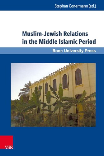 Muslim-Jewish Relations in the Middle Islamic Period: Jews in the Ayyubid and Mamluk Sultanates (1171-1517)