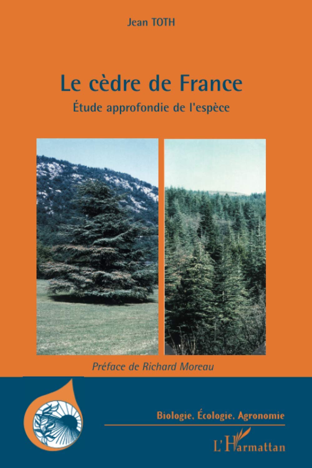 Le cèdre de France: Étude approfondie de l'espèce