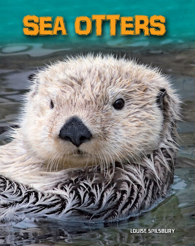 Sea Otters