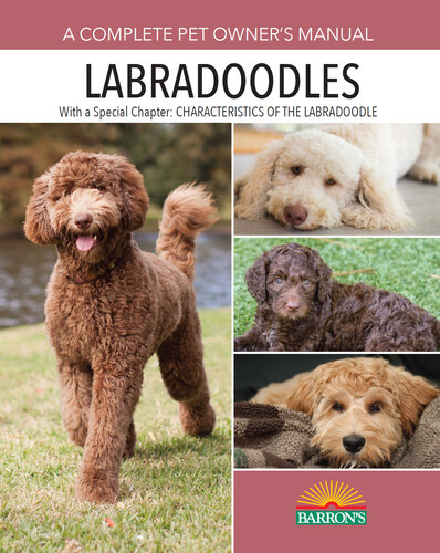 Labradoodles