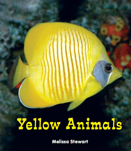 Yellow Animals