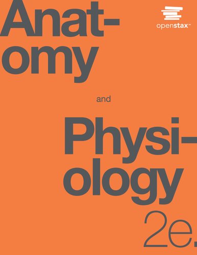 Anatomy and physiology
