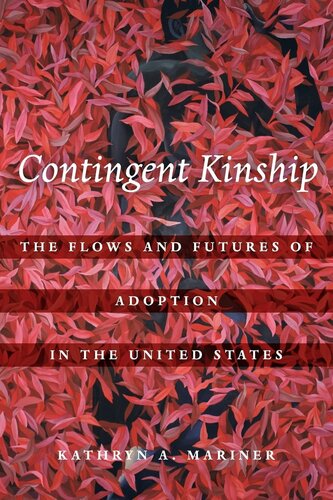 Contingent Kinship: The Flows and Futures of Adoption in the United States