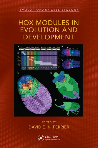 Hox Modules in Evolution and Development