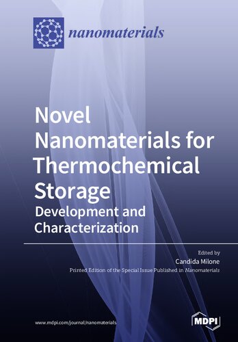 Novel Nanomaterials for Thermochemical Storage: Development and Characterization