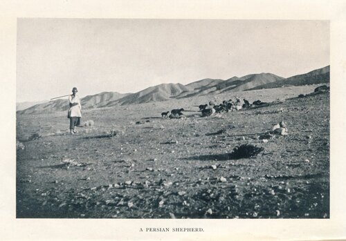 Passenger to Teheran