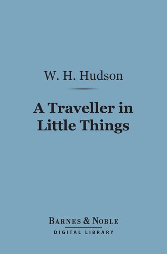 A Traveller in Little Things