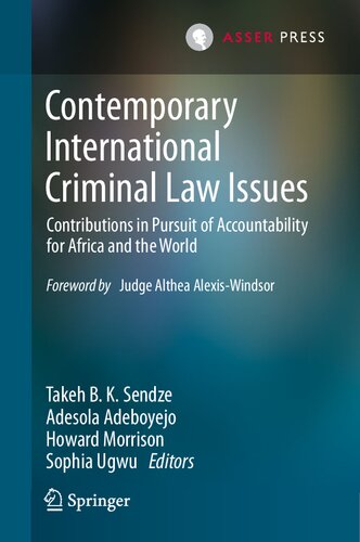 Contemporary International Criminal Law Issues: Contributions in Pursuit of Accountability for Africa and the World