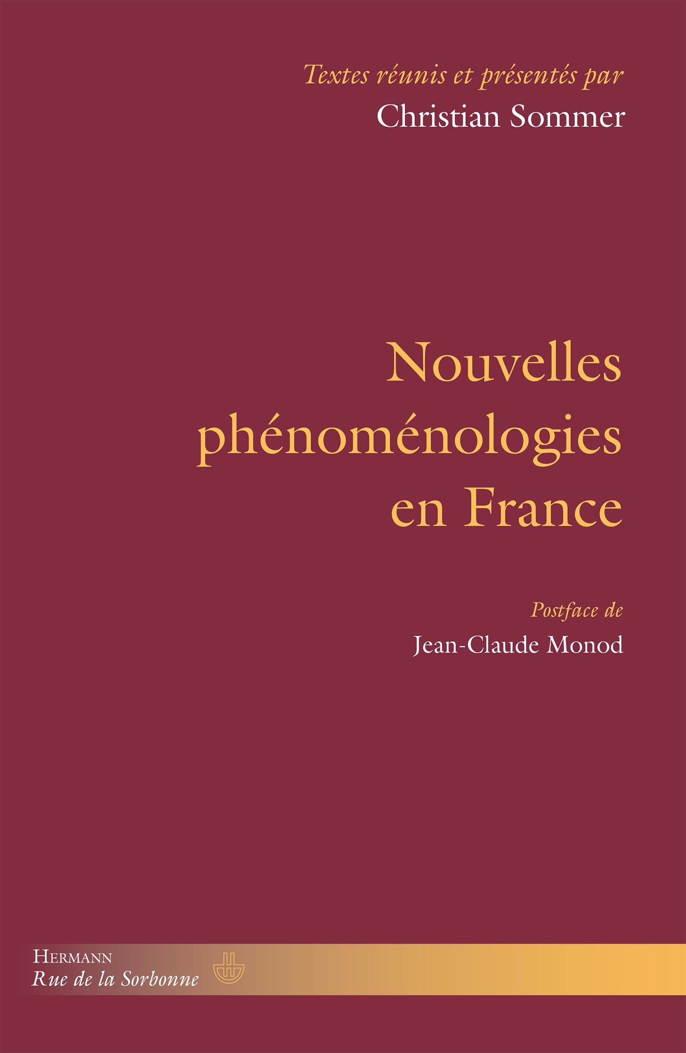 Nouvelles phénoménologies en France (HR.RUE SORBONNE) (French Edition)