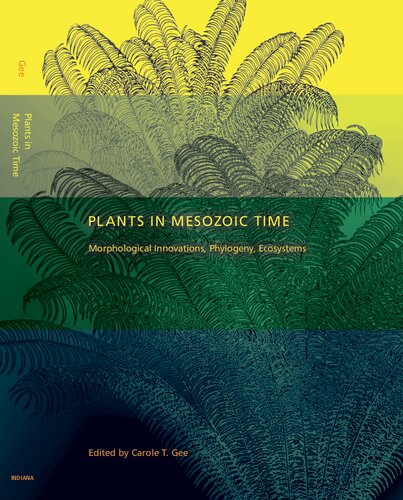 Plants in Mesozoic Time: Morphological Innovations, Phylogeny, Ecosystems