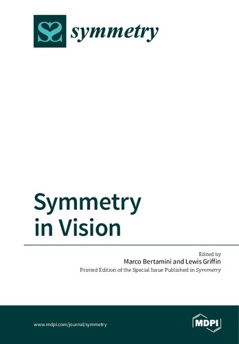 Symmetry in Vision