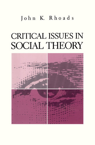 Critical Issues in Social Theory