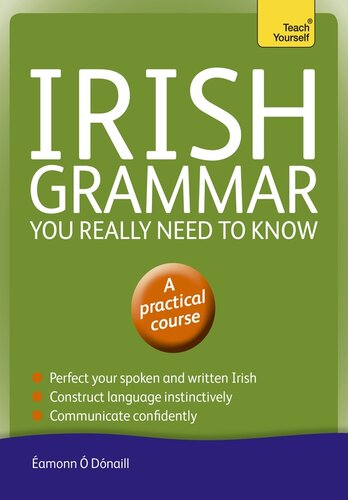 Irish Grammar You Really Need to Know: Teach Yourself