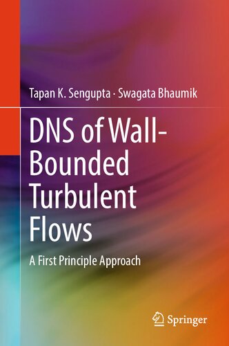 DNS of Wall-Bounded Turbulent Flows. A First Principle Approach