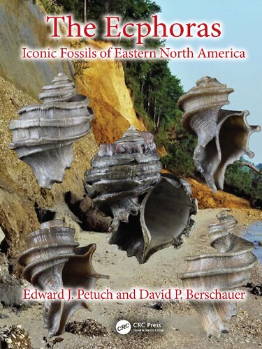 The Ecphoras: Iconic Fossils of Eastern North America