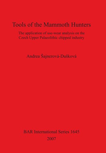 Tools of the Mammoth Hunters: The application of use-wear analysis on the Czech Upper Palaeolithic chipped industry