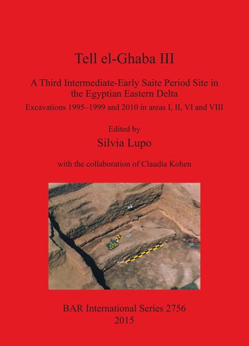 Tell el-Ghaba III: A Third Intermediate-Early Saite Period Site in the Egyptian Eastern Delta: Excavations 1995–1999 and 2010 in areas I, II, VI and VIII