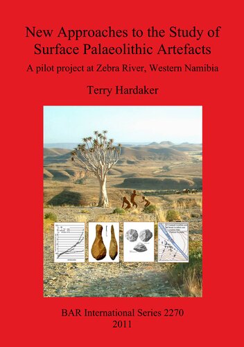 New Approaches to the Study of Surface Palaeolithic Artefacts: A pilot project at Zebra River, Western Namibia