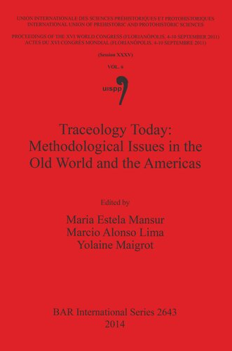 Traceology Today: Methodological Issues in the Old World and the Americas: Vol 6, Session XXXV