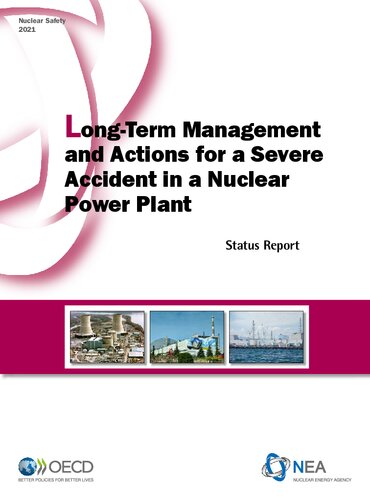 Long-Term Management and Actions for a Severe Accident in a Nuclear Power Plant