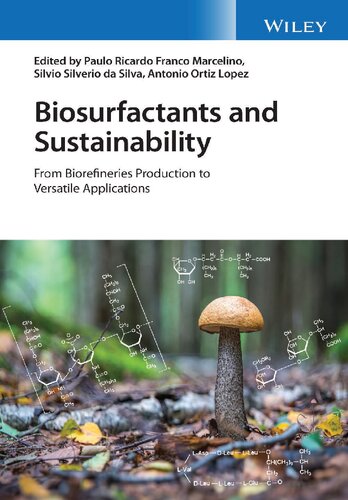 Biosurfactants and Sustainability: From Biorefineries Production to Versatile Applications