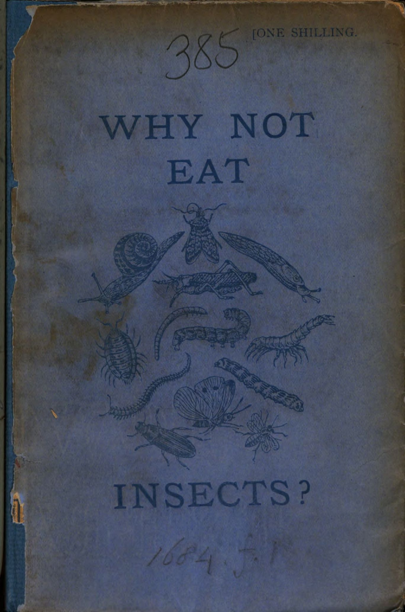 Why Not Eat Insects?