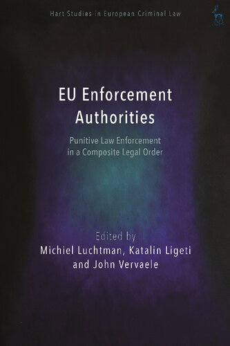 EU Enforcement Authorities: Punitive Law Enforcement in a Composite Legal Order