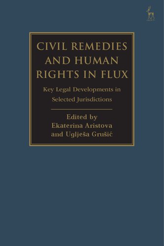 Civil Remedies and Human Rights in Flux: Key Legal Developments in Selected Jurisdictions