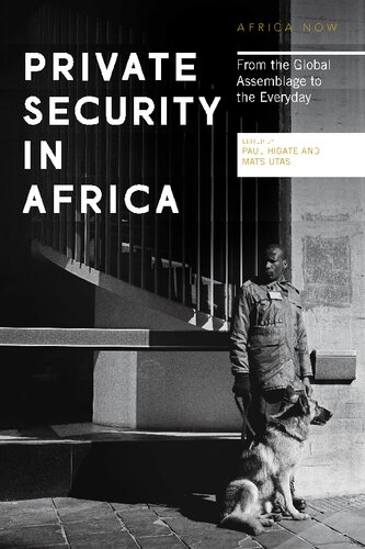 Private security in Africa: From the global assemblage to the everyday