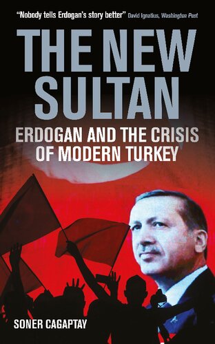 The New Sultan: Erdogan and the Crisis of Modern Turkey