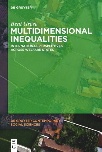 Multidimensional Inequalities: International Perspectives Across Welfare States