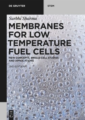 Membranes for Low Temperature Fuel Cells: New Concepts, Single-Cell Studies and Applications