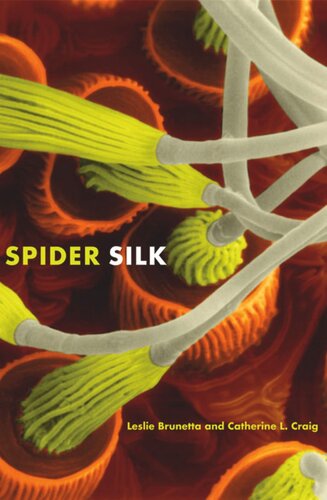 Spider Silk: Evolution and 400 Million Years of Spinning, Waiting, Snagging, and Mating