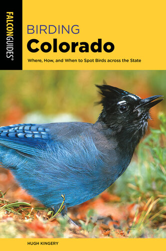 Birding Colorado: Where, How, and When to Spot Birds across the State