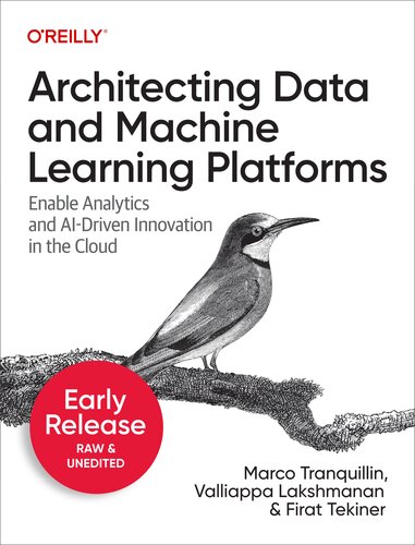 Architecting Data and Machine Learning Platforms (Second Early Release)