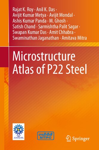 Microstructure Atlas of P22 Steel