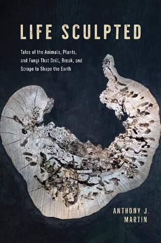 Life Sculpted: Tales of the Animals, Plants, and Fungi That Drill, Break, and Scrape to Shape the Earth