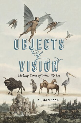 Objects of Vision: Making Sense of What We See (Perspectives on Sensory History)