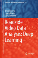 Roadside Video Data Analysis: Deep Learning