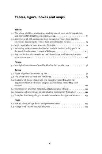 Biofuels, land grabbing and food security in Africa