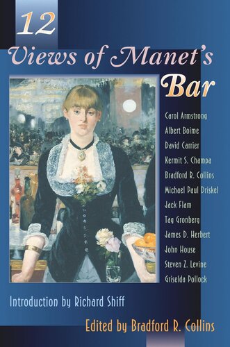 Twelve Views of Manet's Bar